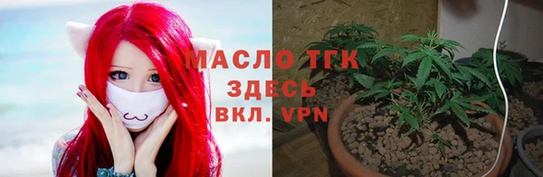 тгк Алексин