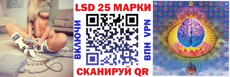 закладка  Тавда  Марки N-bome 1,5мг 
