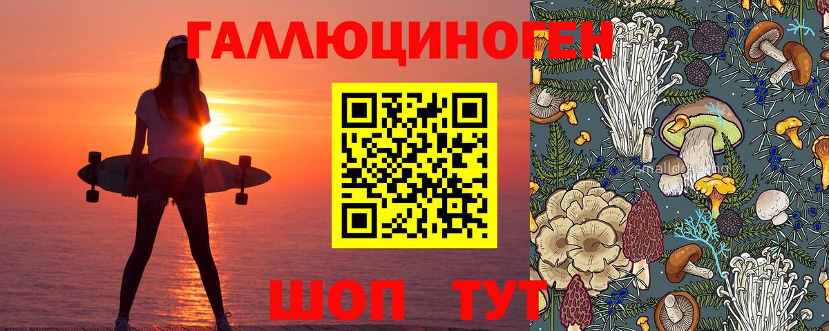 Галлюциногенные грибы мухоморы  цена   Тавда  Псилоцибиновые грибы Psilocybe  Вход с VPN 