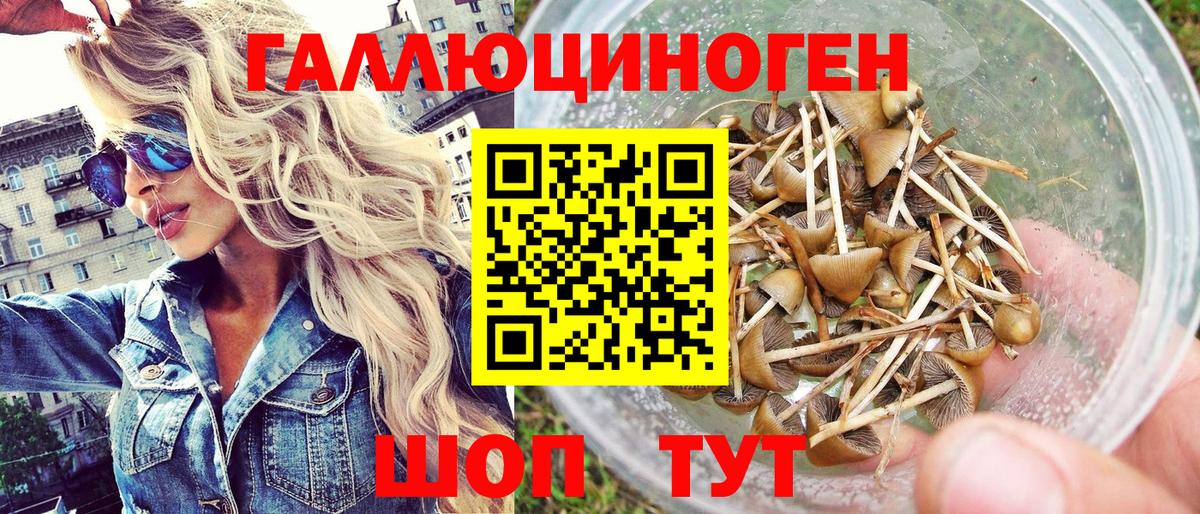 Псилоцибиновые грибы прущие грибы Тавда