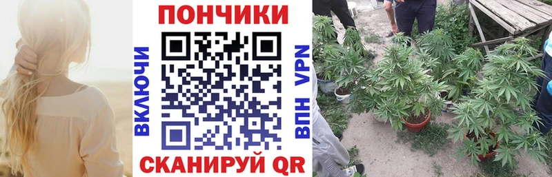 Канабис планчик Тавда