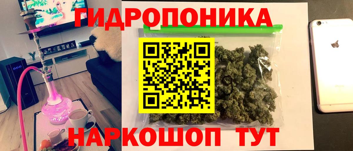 Конопля планчик Тавда